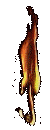 fires.gif (19444 bytes)